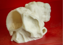 3D-print van het hart